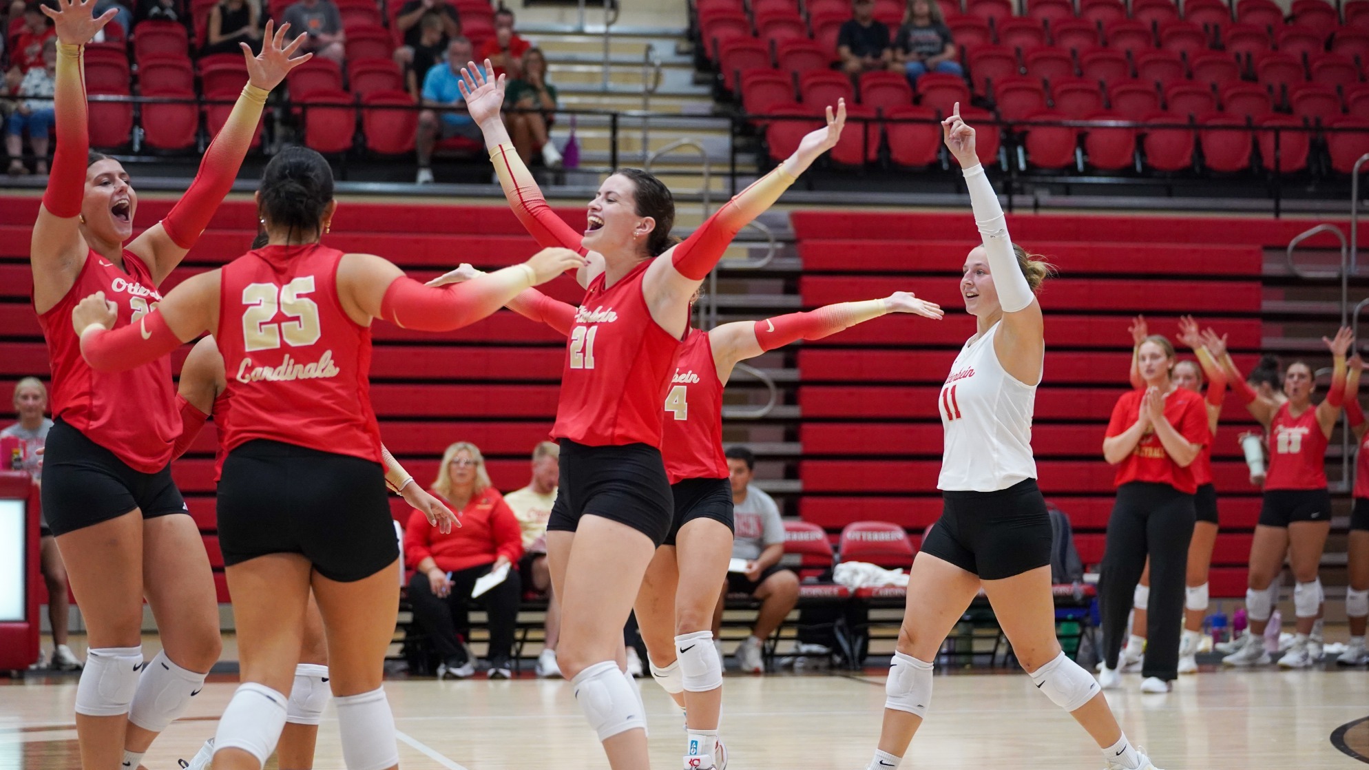 Schellenberger Vb Celly