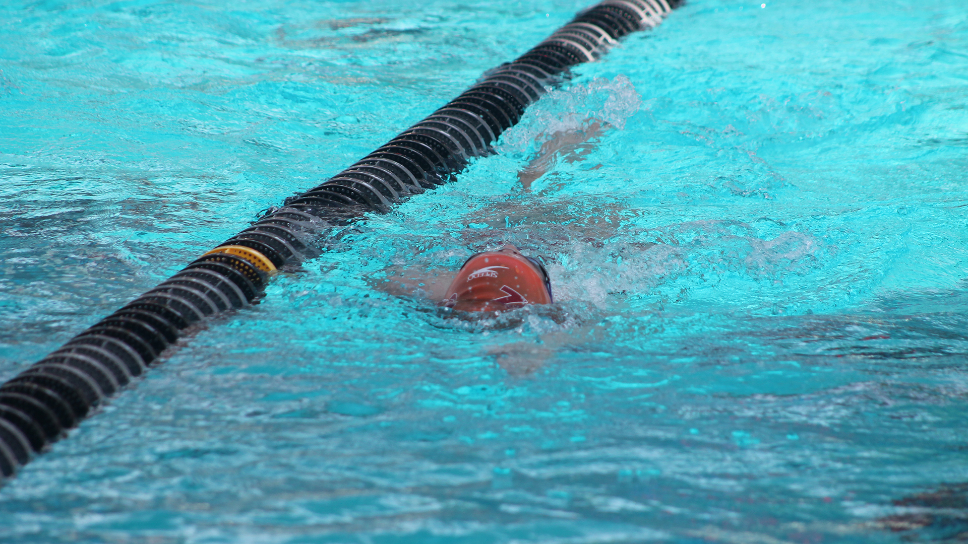 Swim -- January 15, 2022