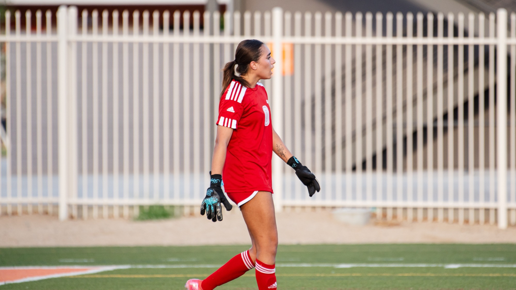WSOC vs. ERAU Write Up Photo