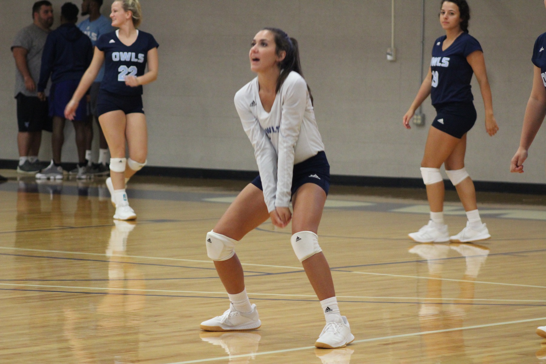 Volleyball Splits Day One of Belhaven/Millsaps Invitational