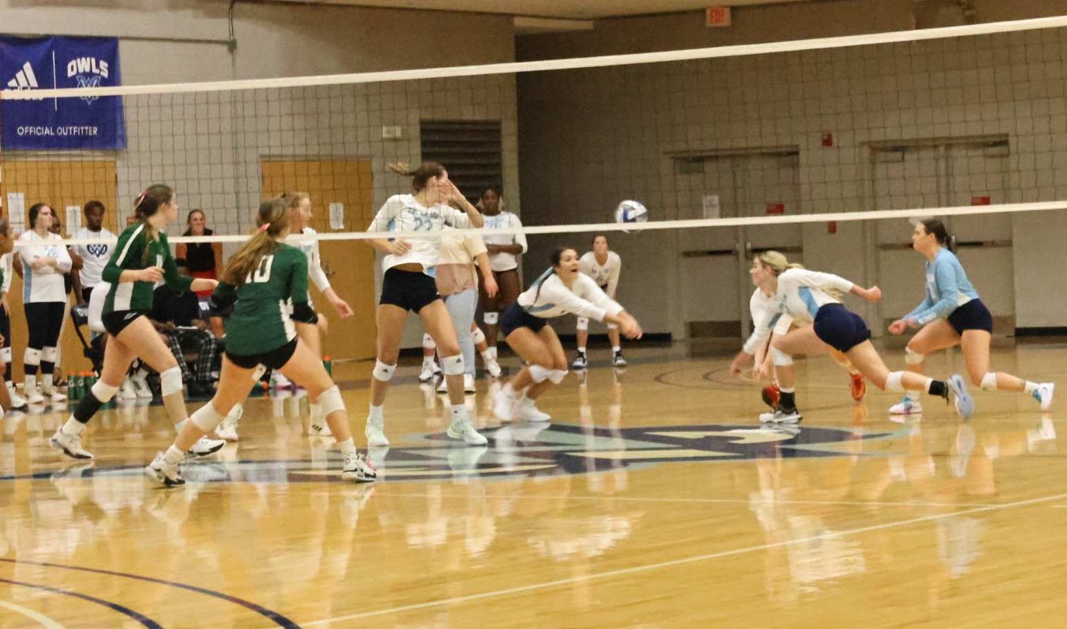 Owls volleyball falls to Belhaven in five, 32 Mississippi University