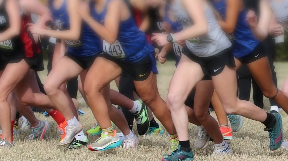 xc