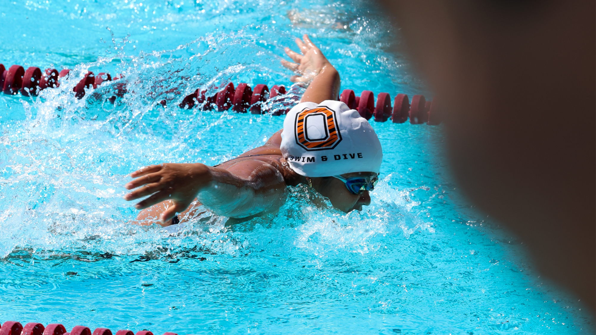 Swimmer swims the butterfly