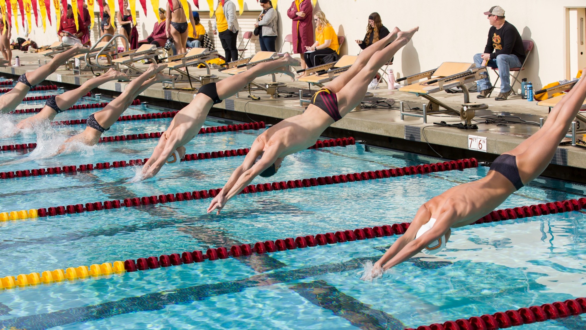 swimmers dive into the pool off the starting blocks