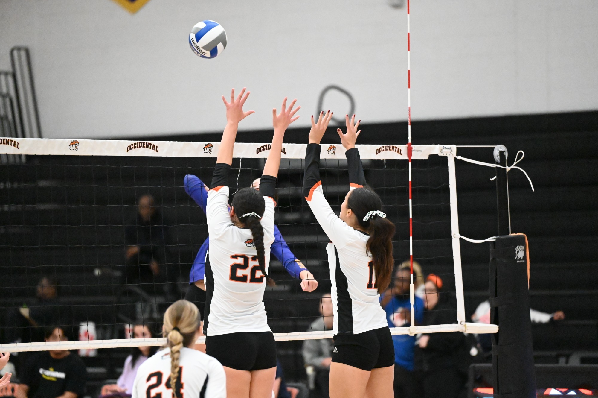 Volleyball goes up for the block vs. CLU