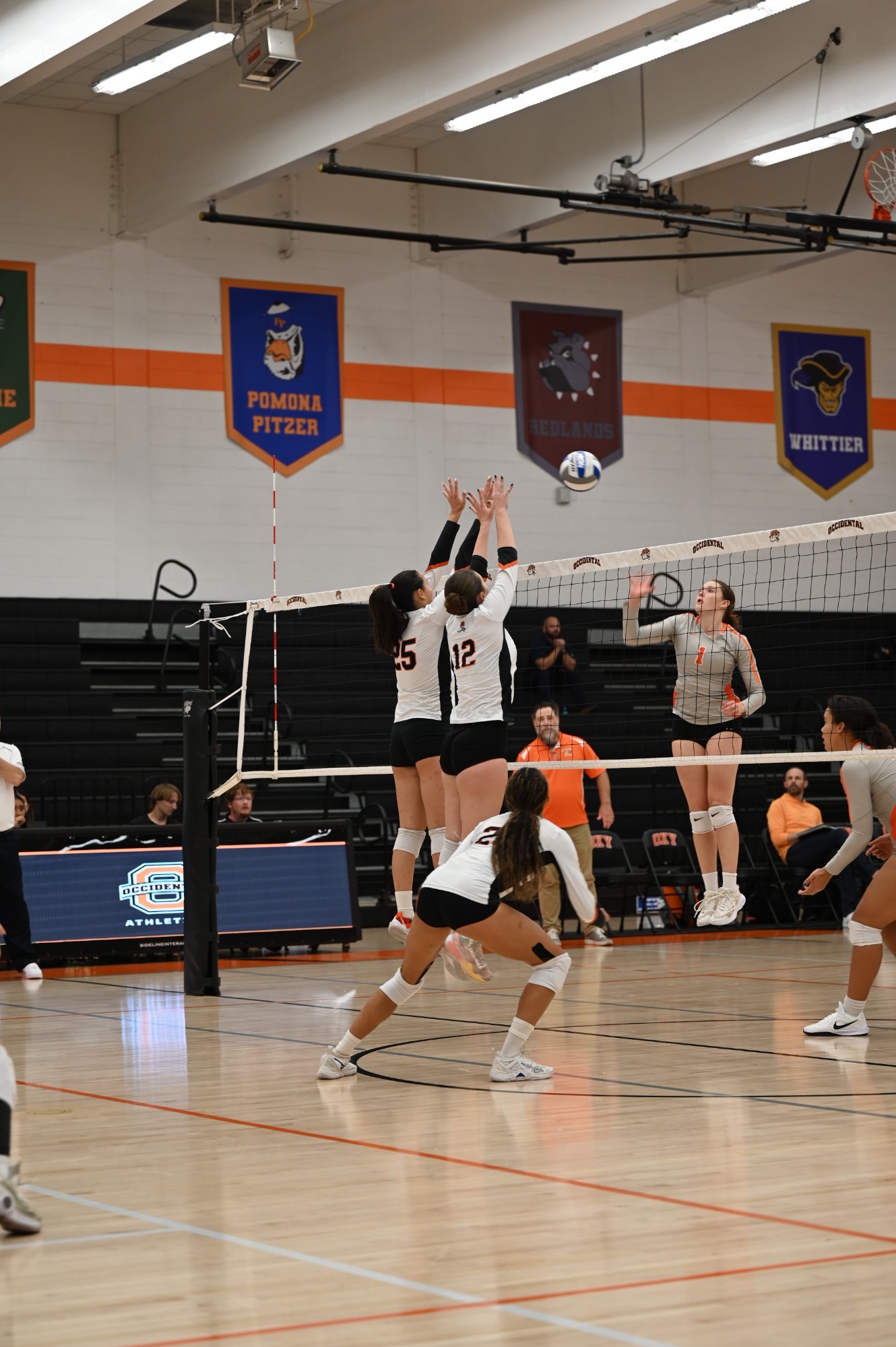 Tigers go for the block