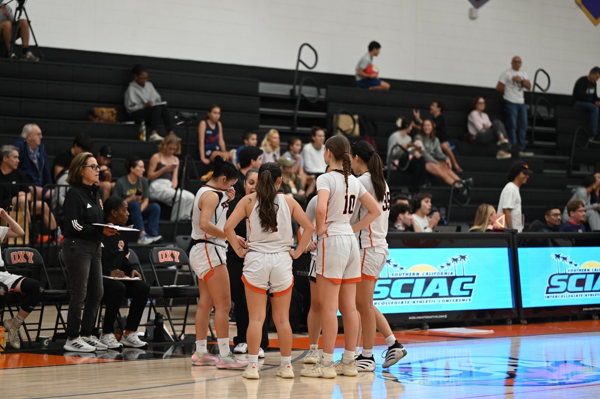 Tigers huddle during a time out