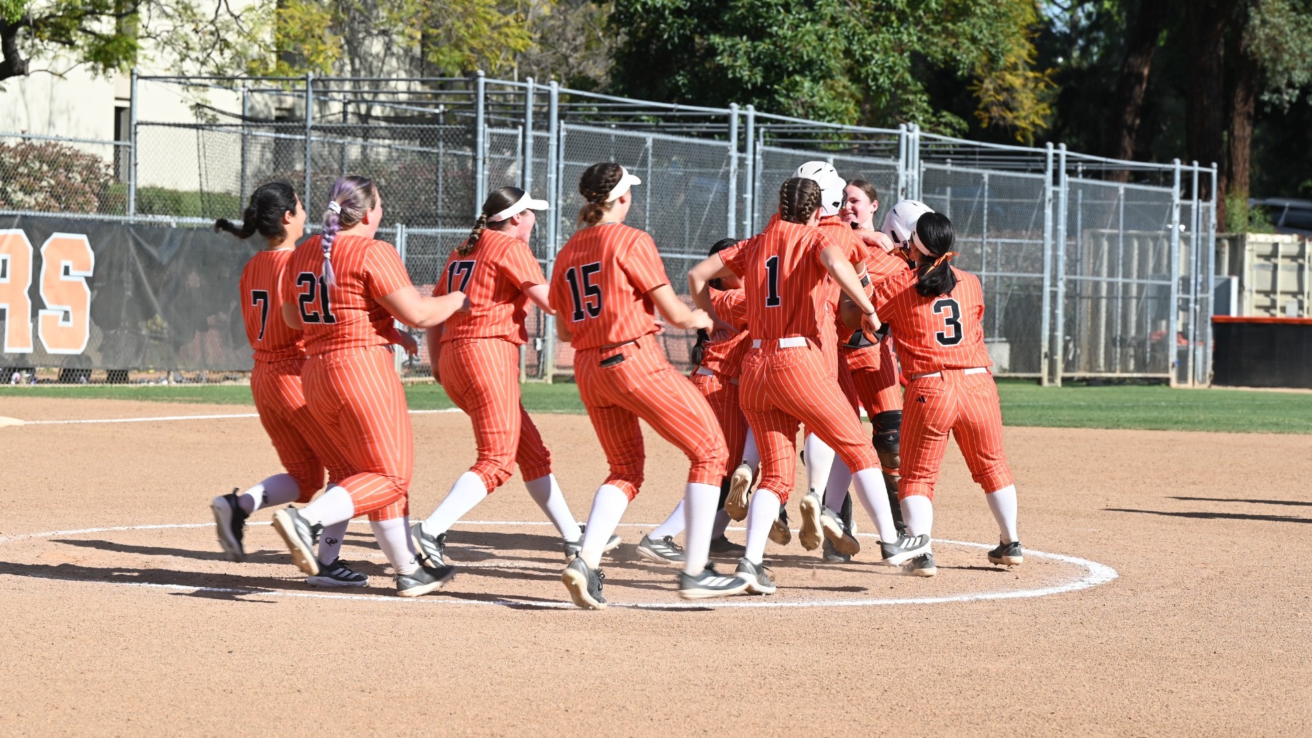 Softball celebrations