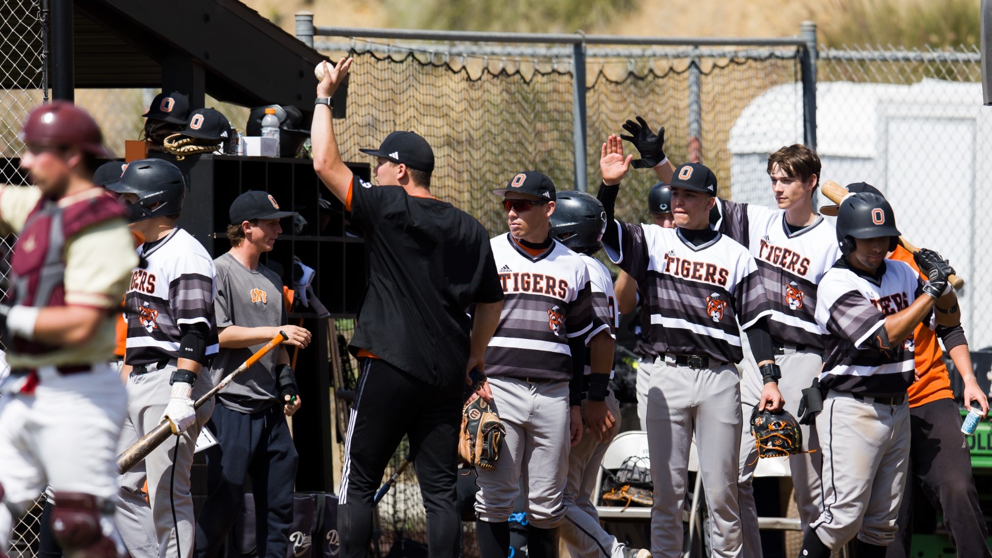 Baseball dugout celebrates a run scoring