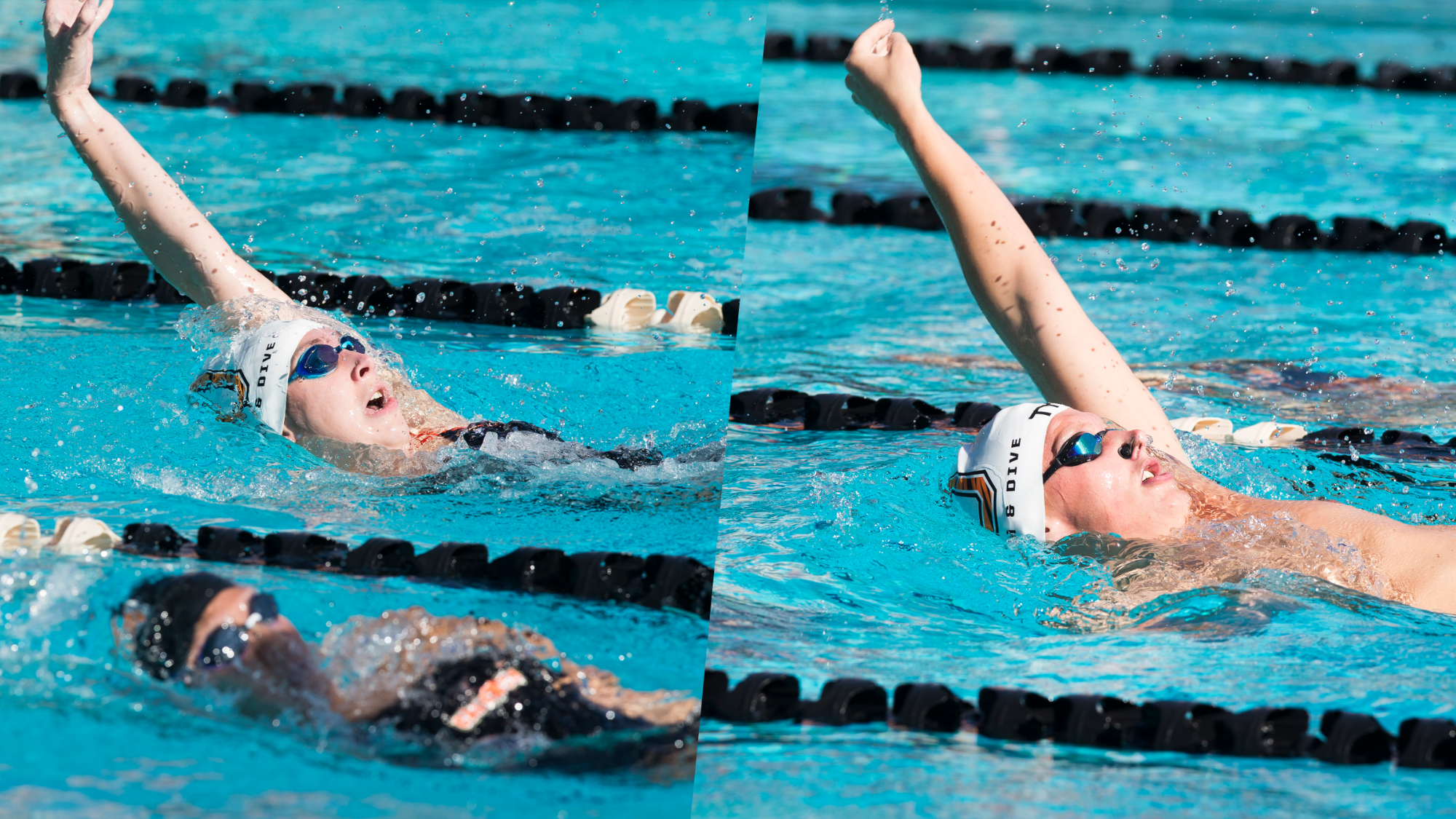 two swimmers swim the back stroke