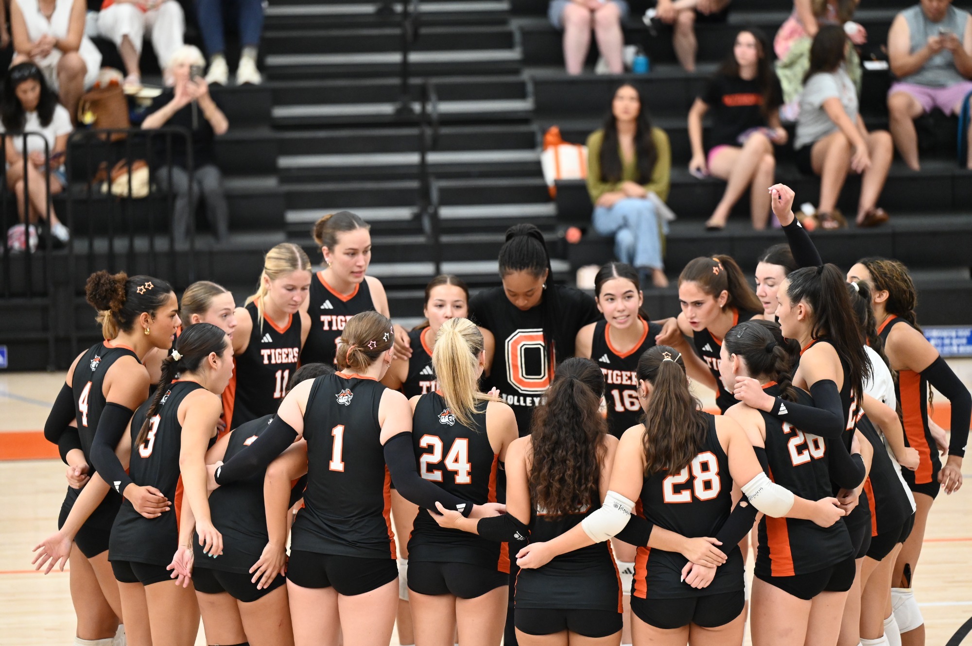 WVB huddle