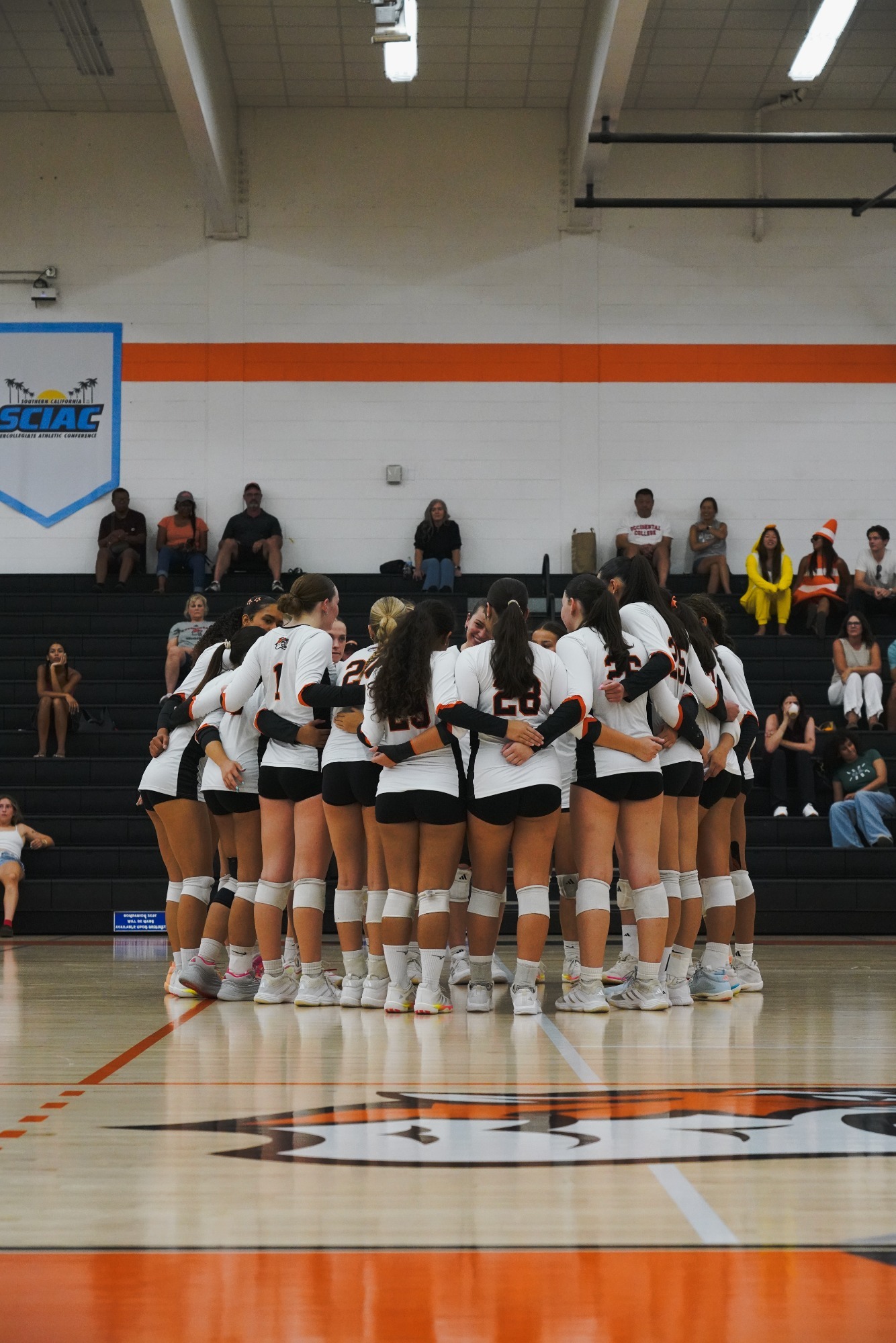 Volleyball huddles pregame