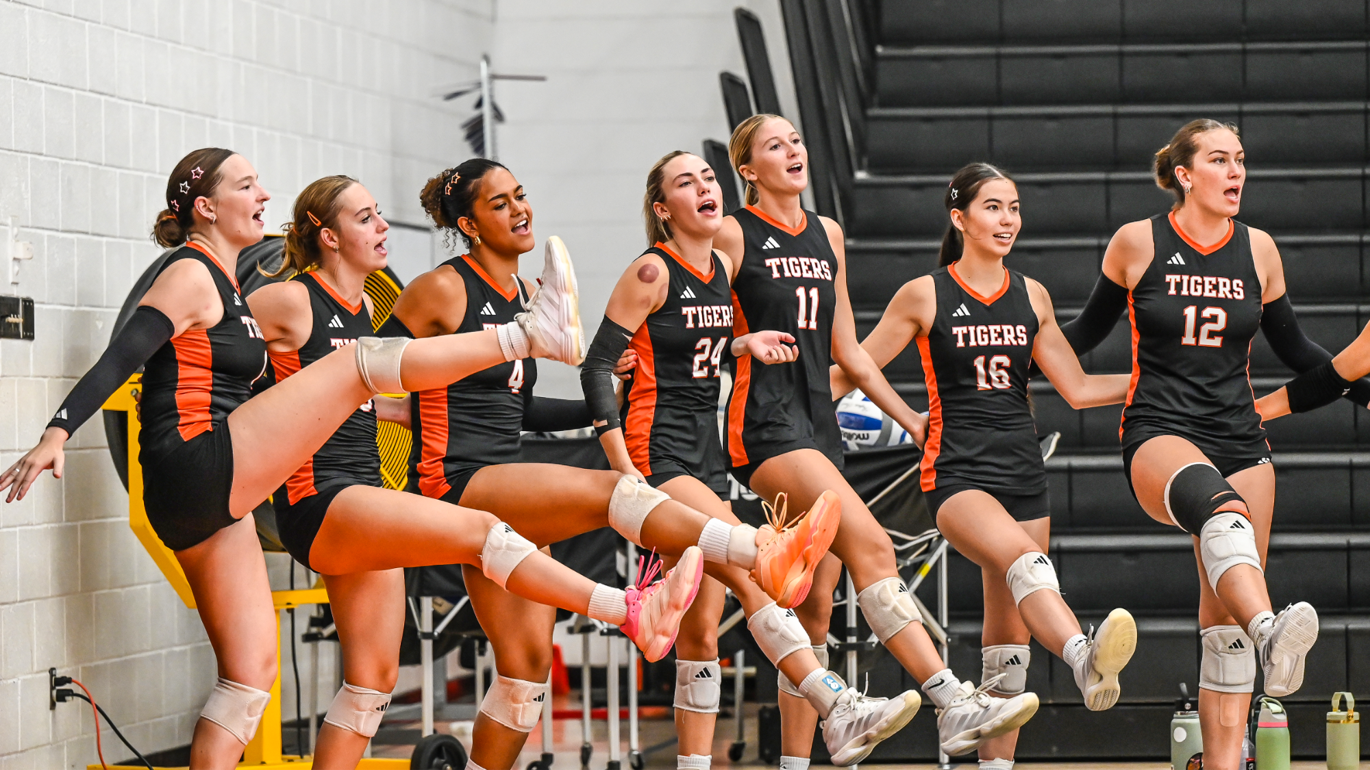 The Tigers bench celebrates scoring a point
