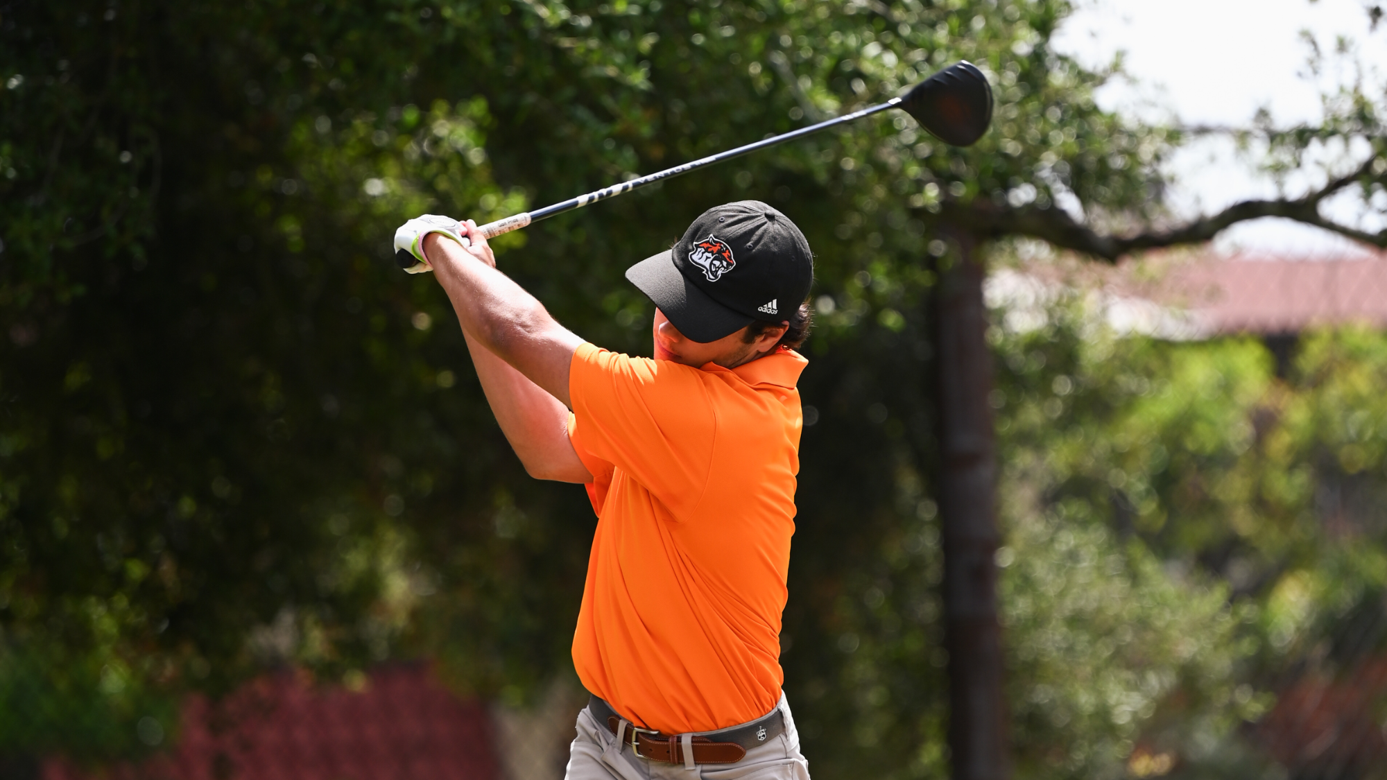 Daniel Rowe hits a tee shot