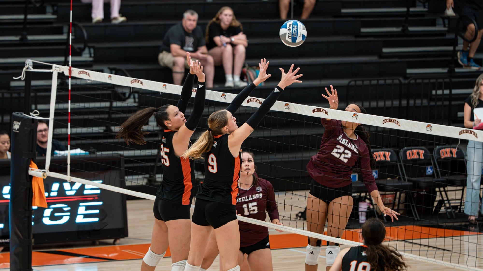 Jasmine Shum and Anna Curtis-Revelle jump at the block