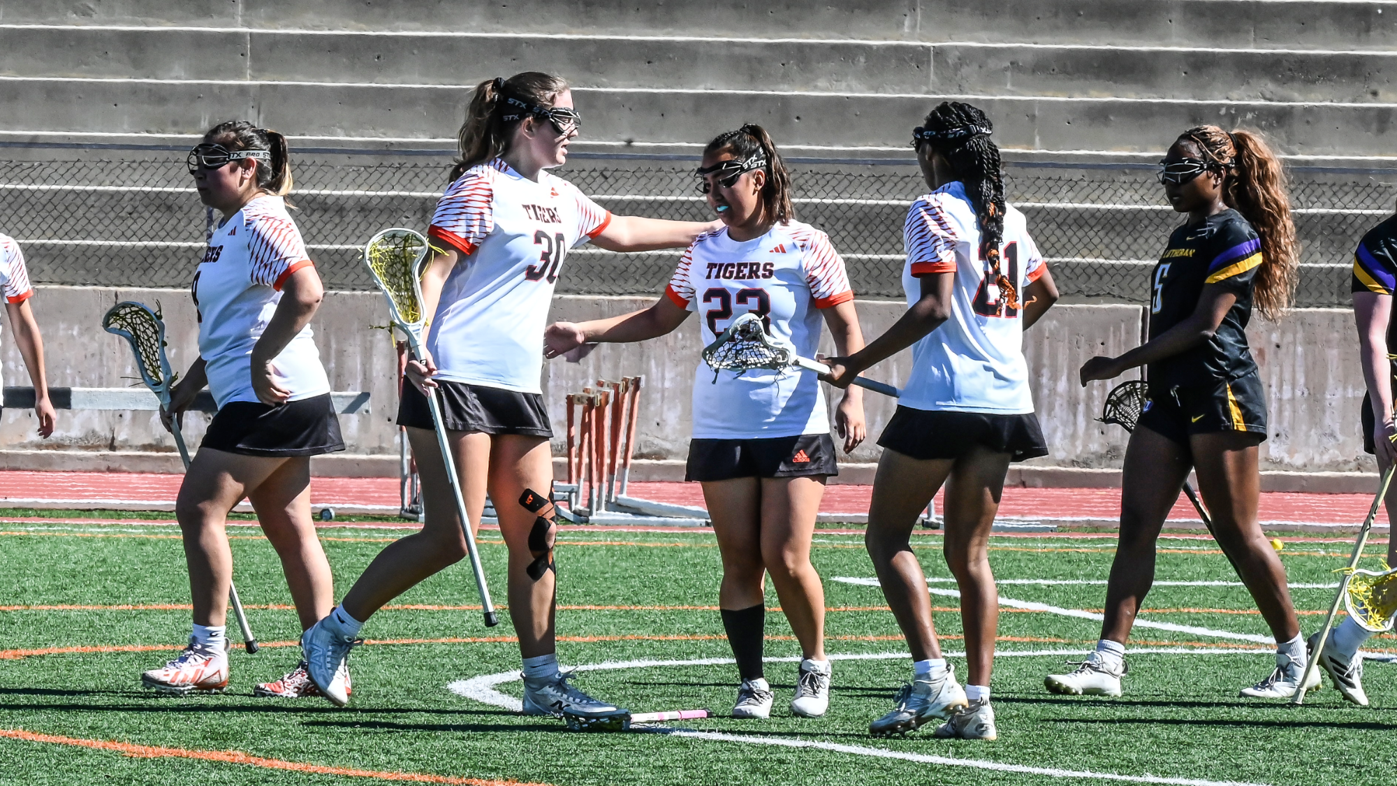 WLAX celebrates a goal