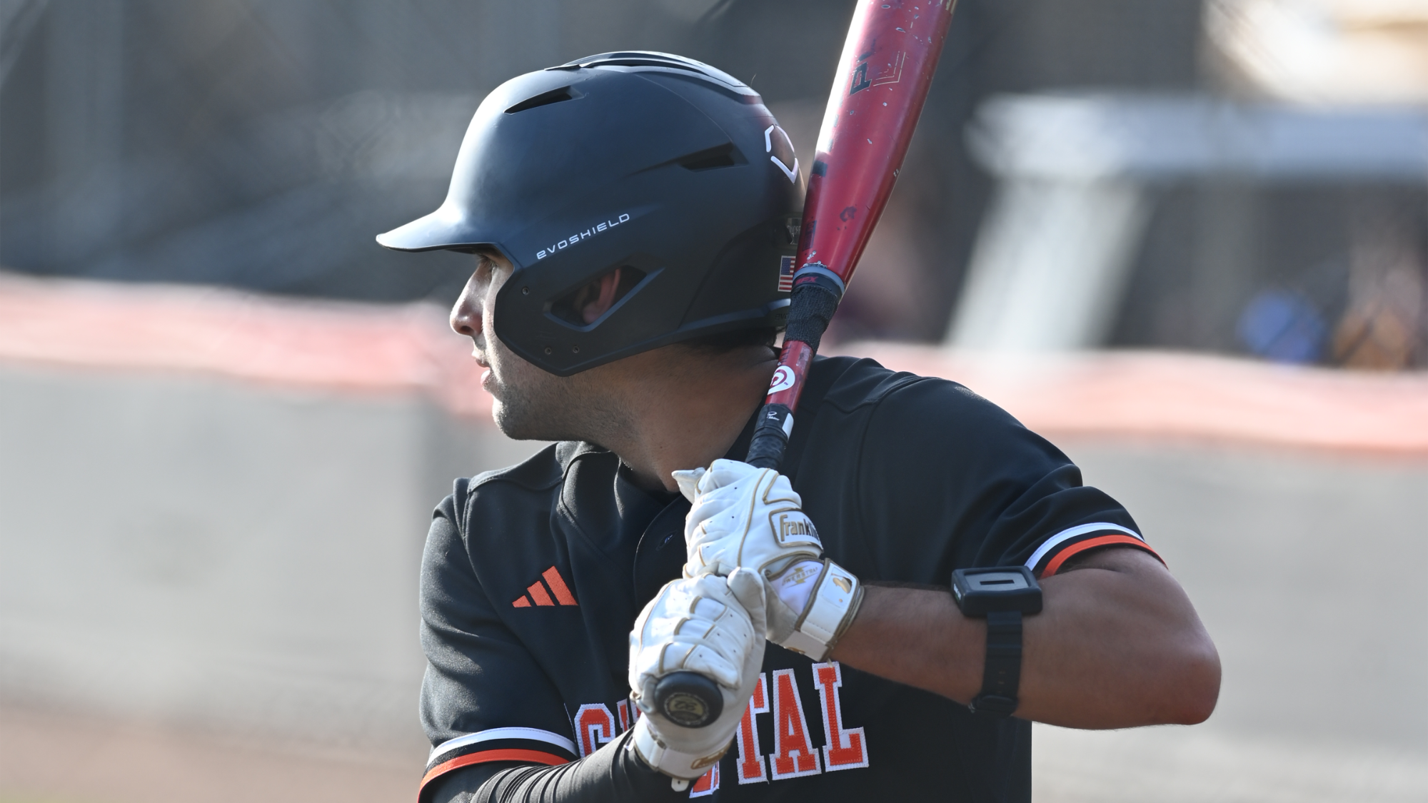 Alejandro Ducreux up to bat for the Tigers