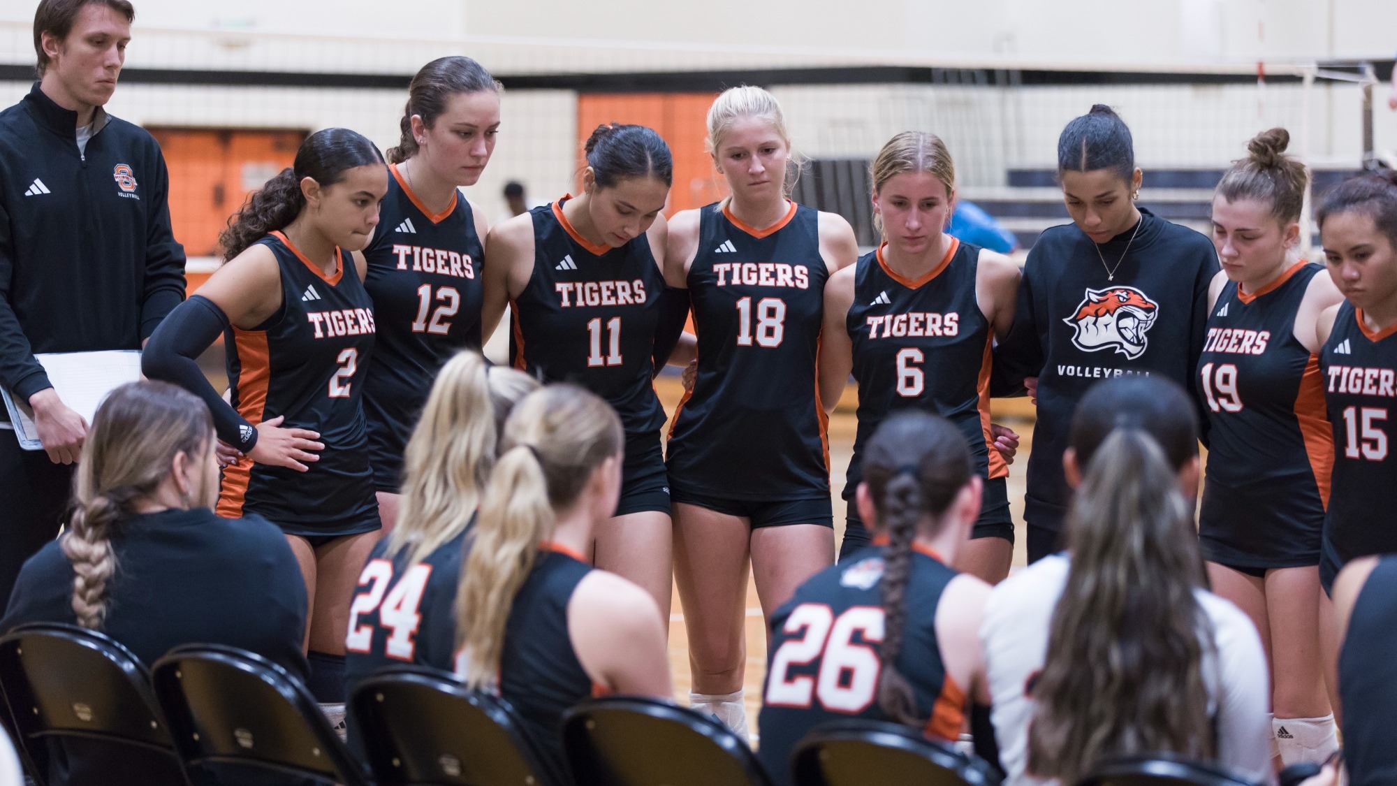 Women's volleyball in a team huddle