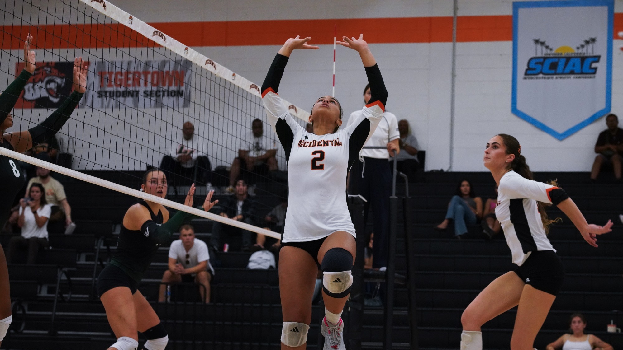 Kendall Taylor sets the ball