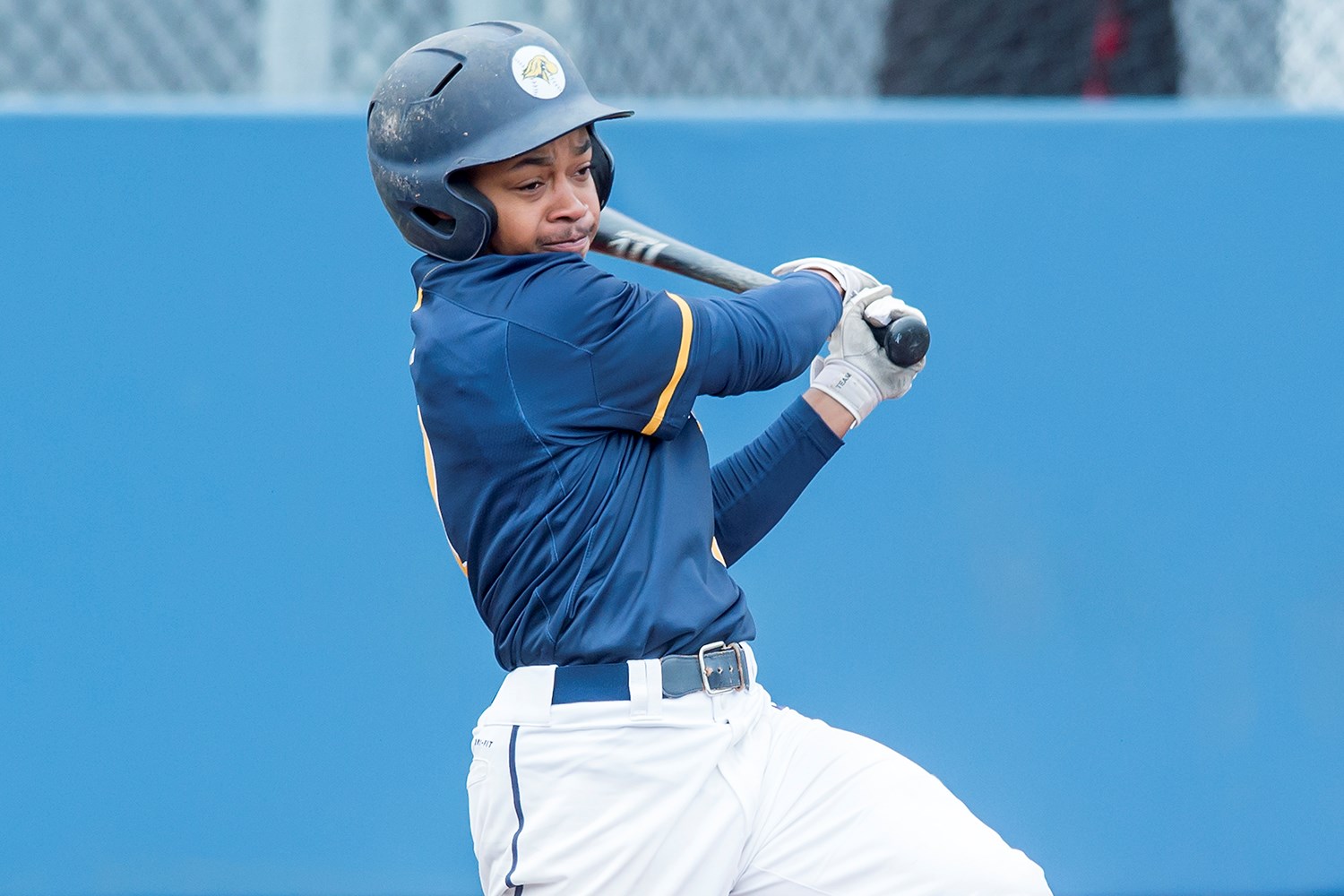 Jim Thorpe IV 2017 Baseball Pace University Athletics