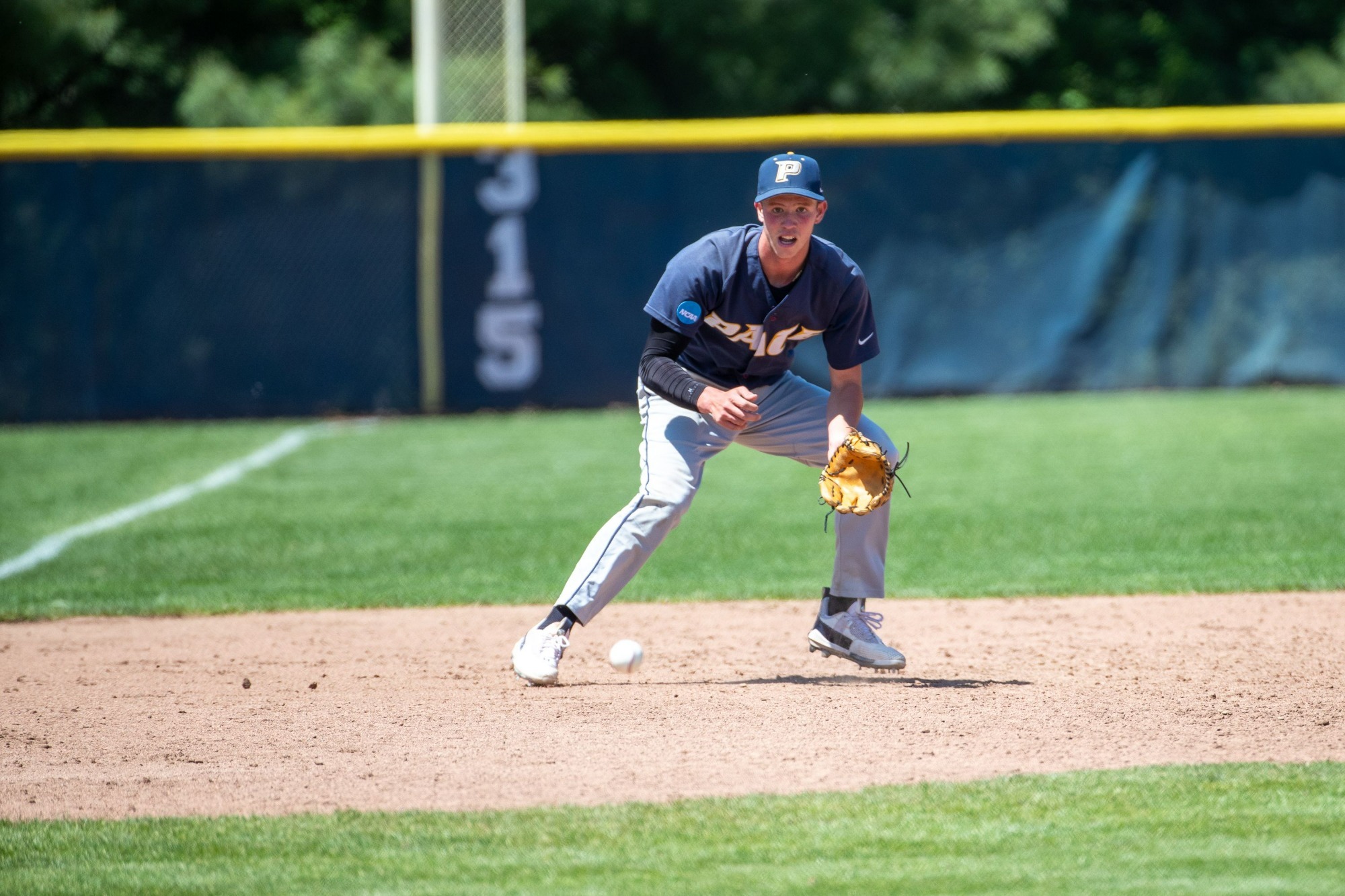 baseball-defeated-by-southern-new-hampshire-in-ncaa-tournament-east