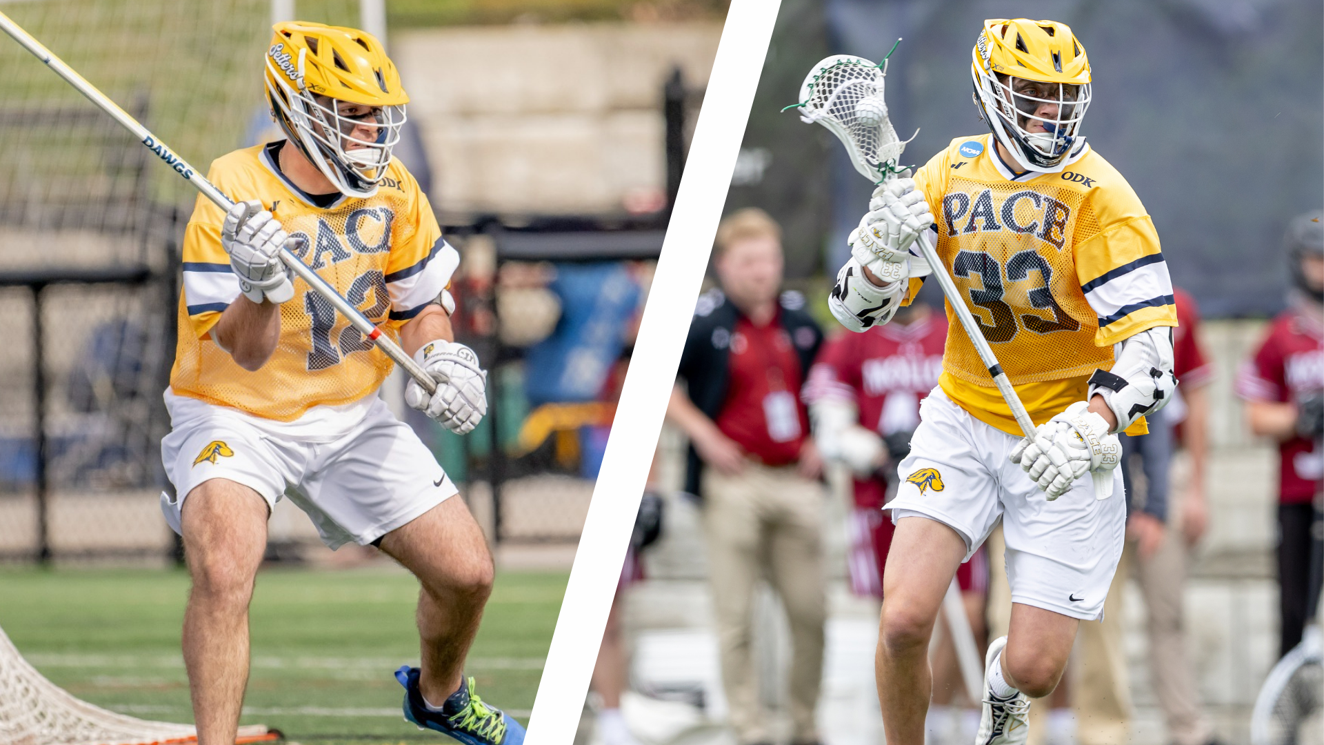 USILA Danowski/Butler All-American Preseason Graphic