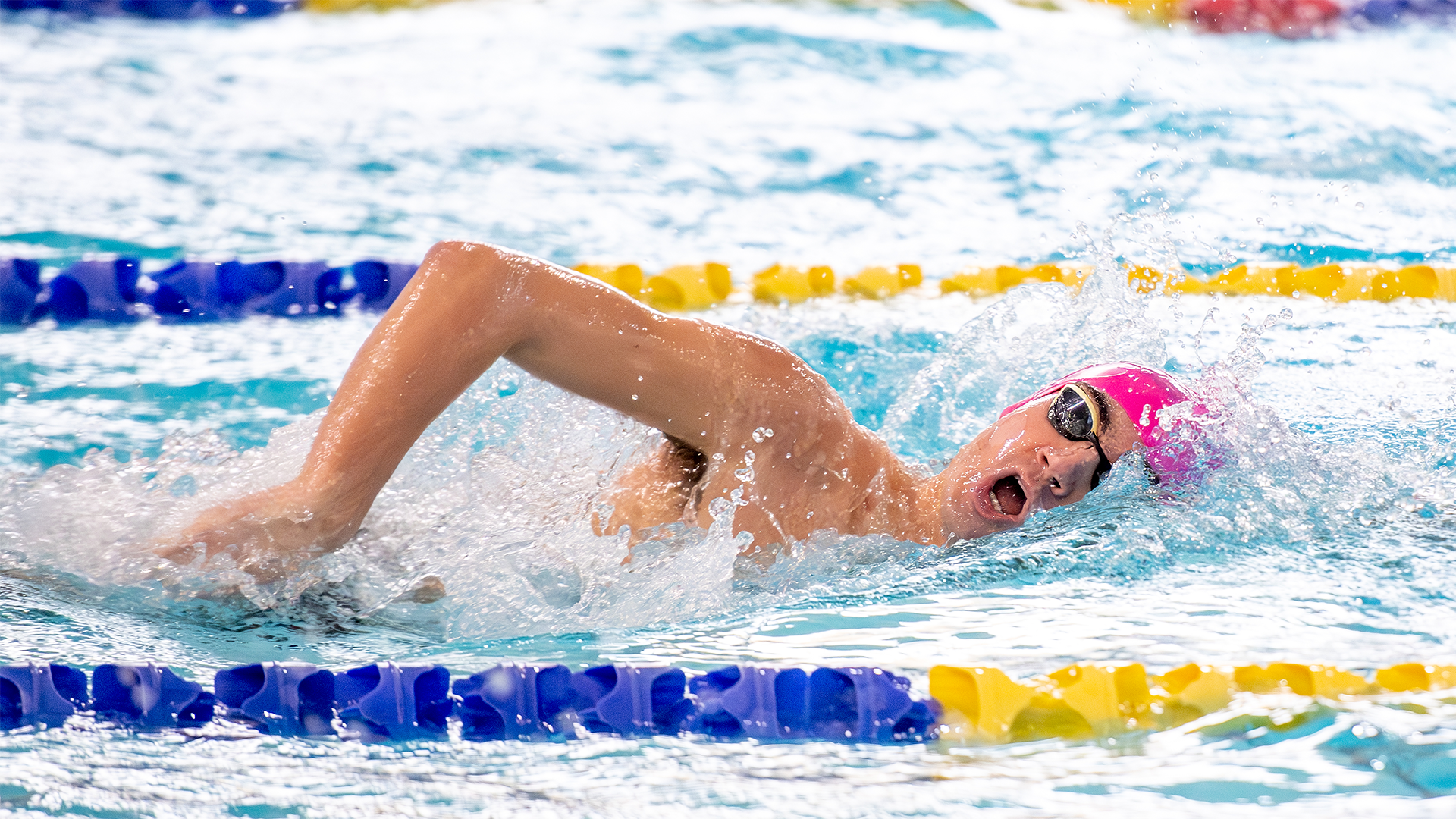 2026 Men's Swimming and Diving Action Shot