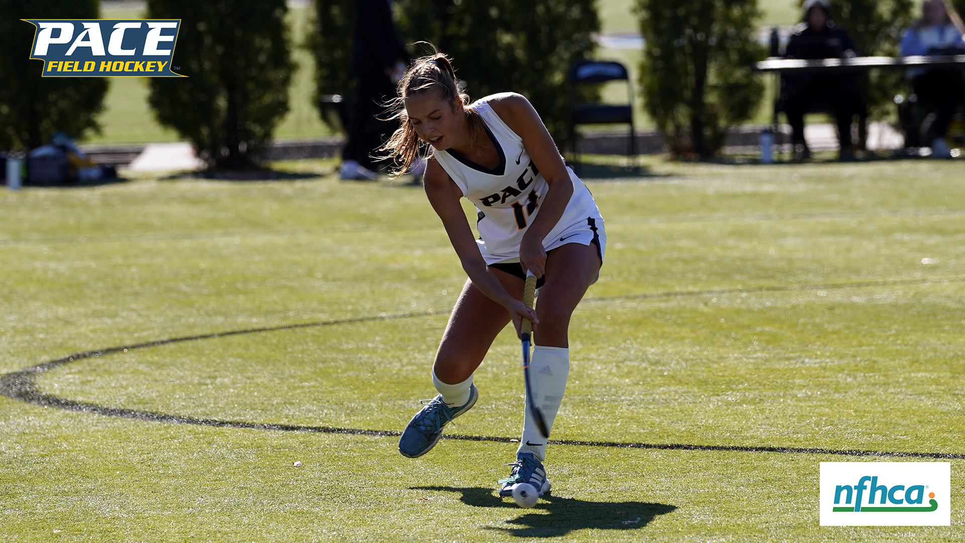 Feline Rook 2026 FH NFHCA Honorable Mention Graphic