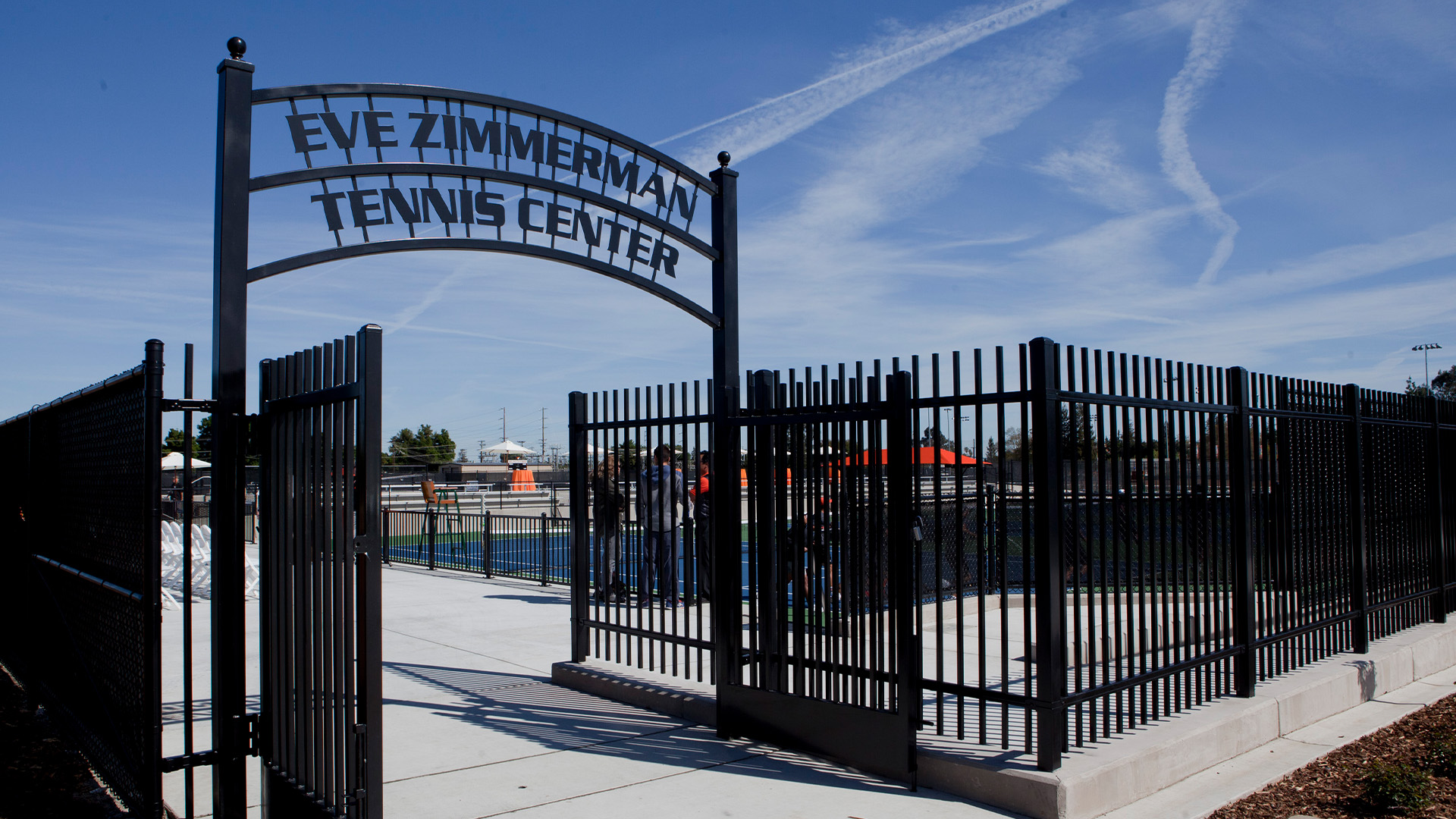Eve Zimmerman Entrance