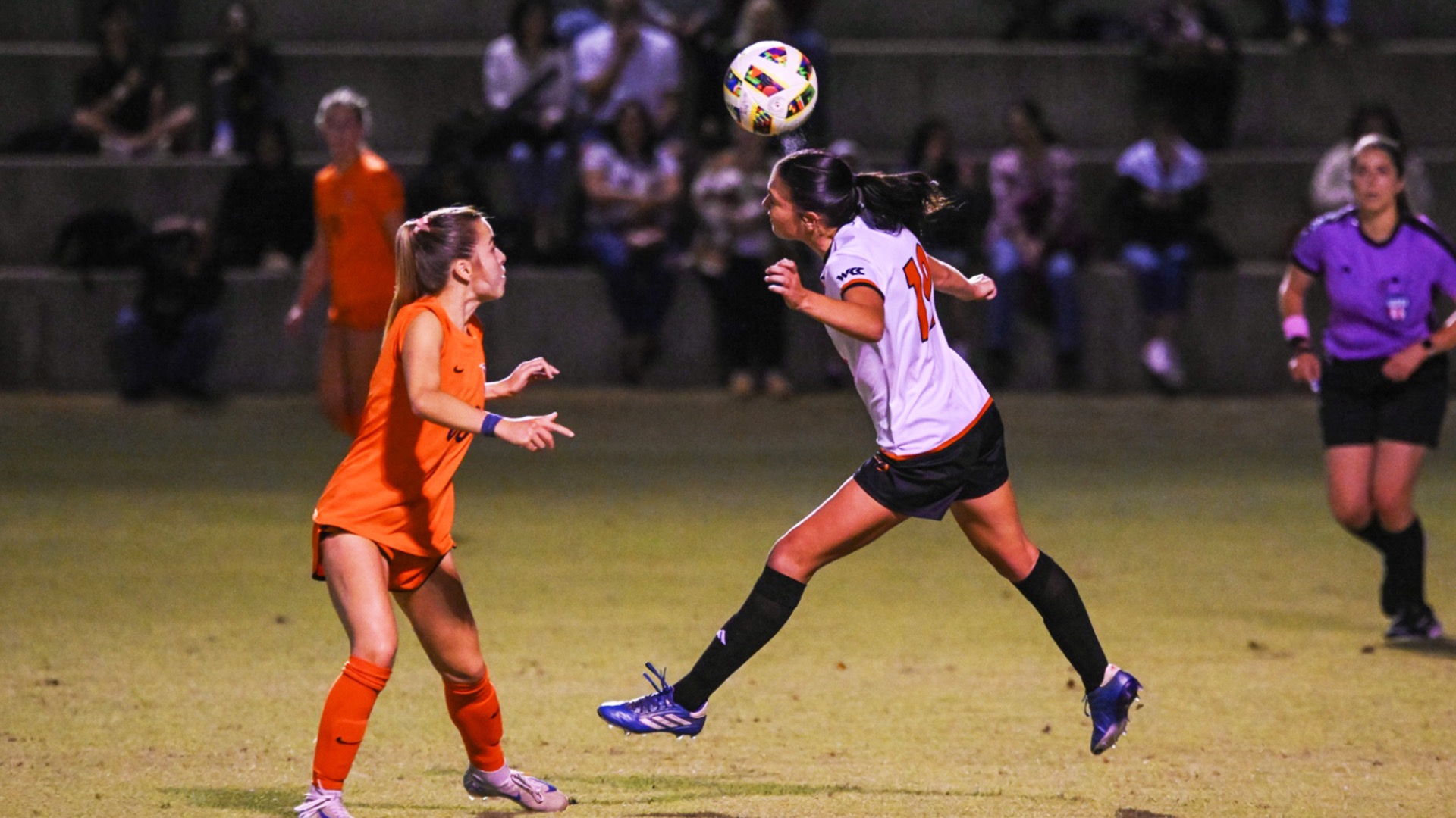 Ariana Gronauer Header