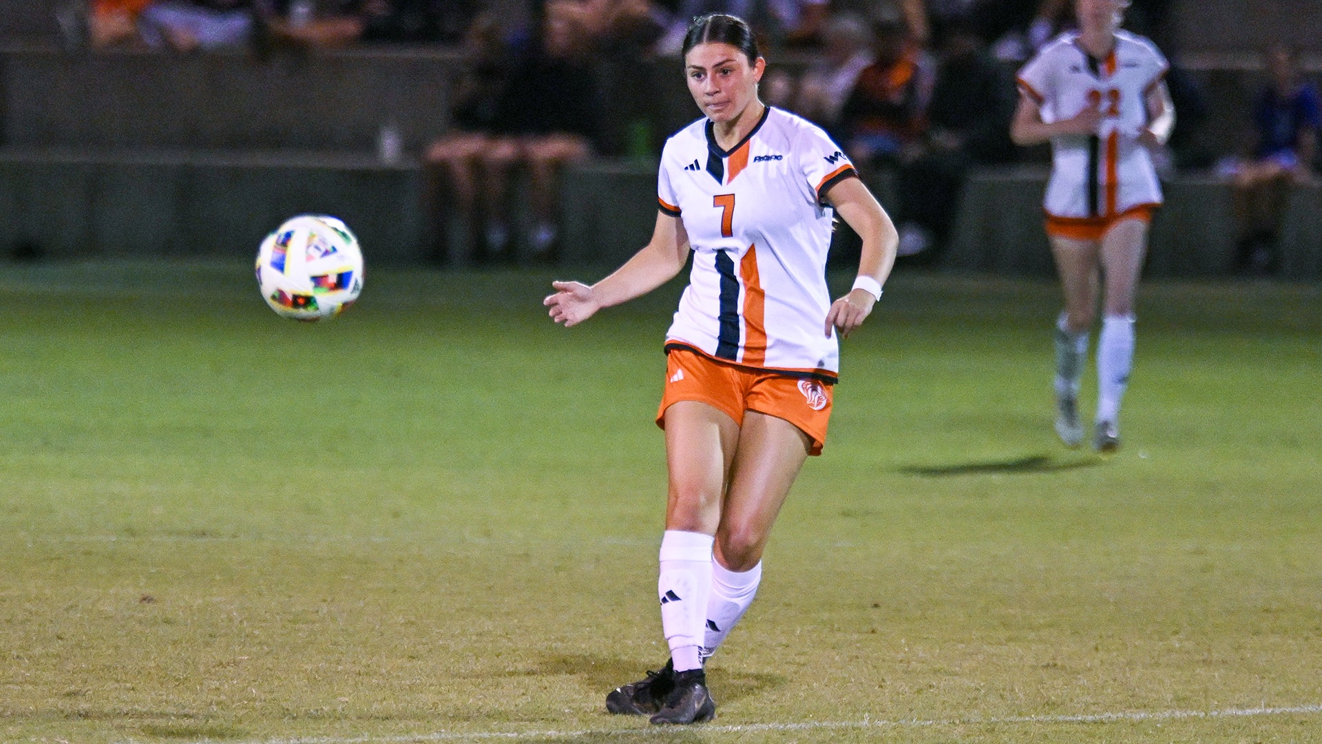 Alexis Pashales Kick