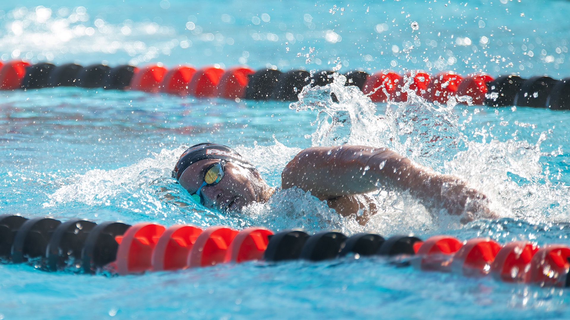 Pacific Swimmer Swimming