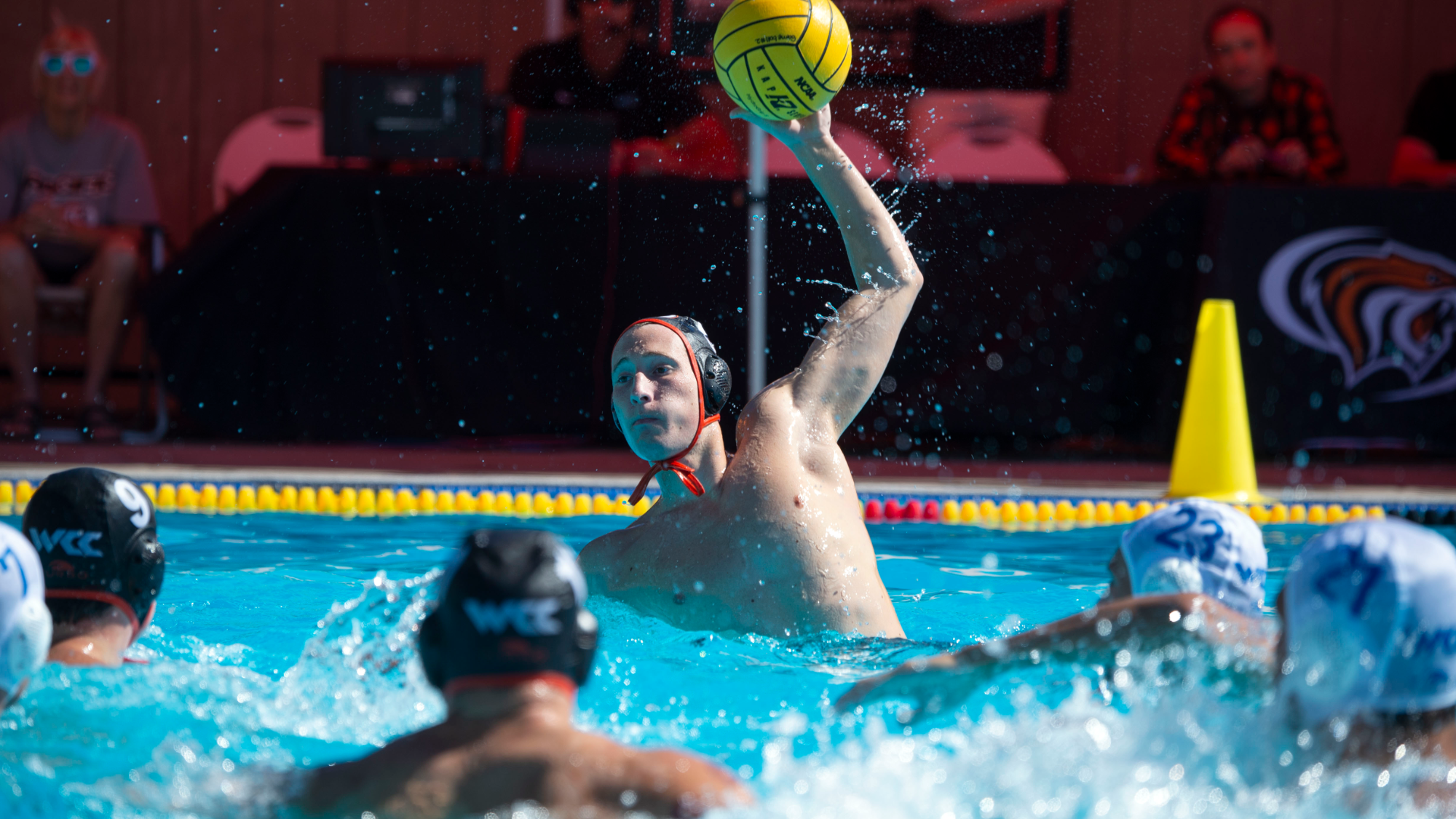 Petar Popovic