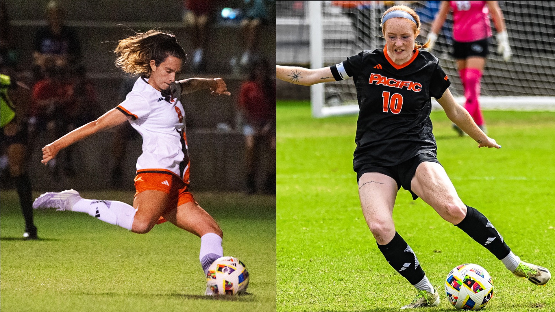 WSOC WCC Honorable Mentions