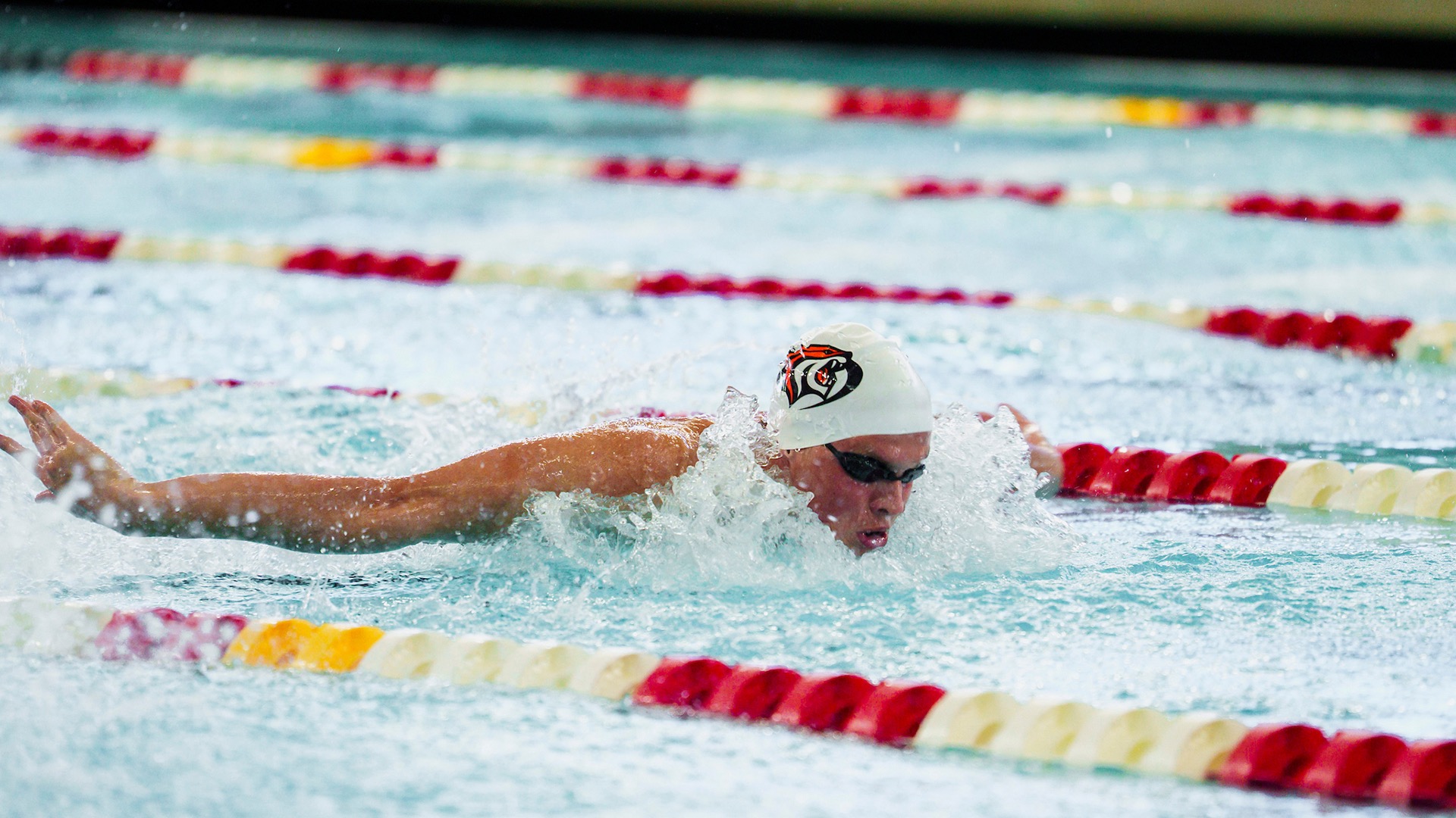 Pacific Swimmer at UNLV Invite