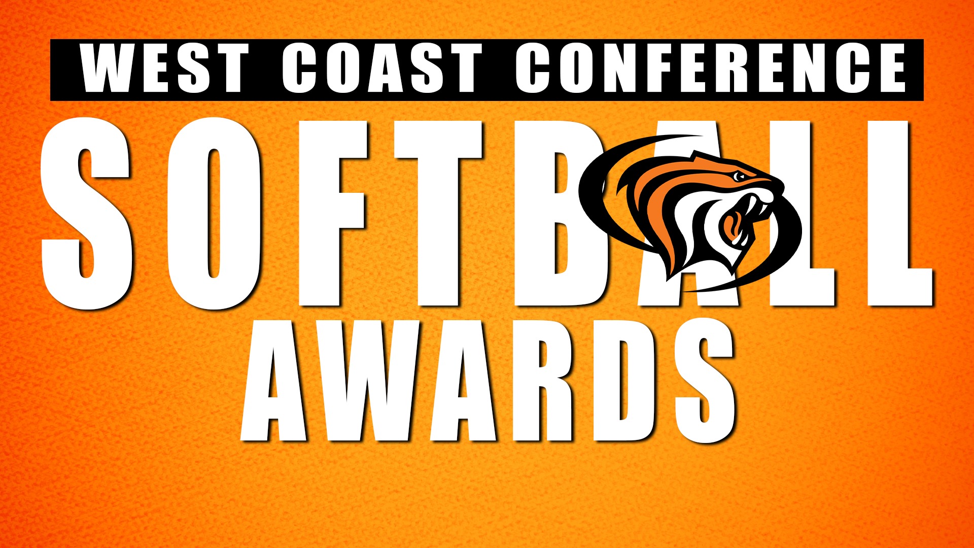 Softball Awards 2025