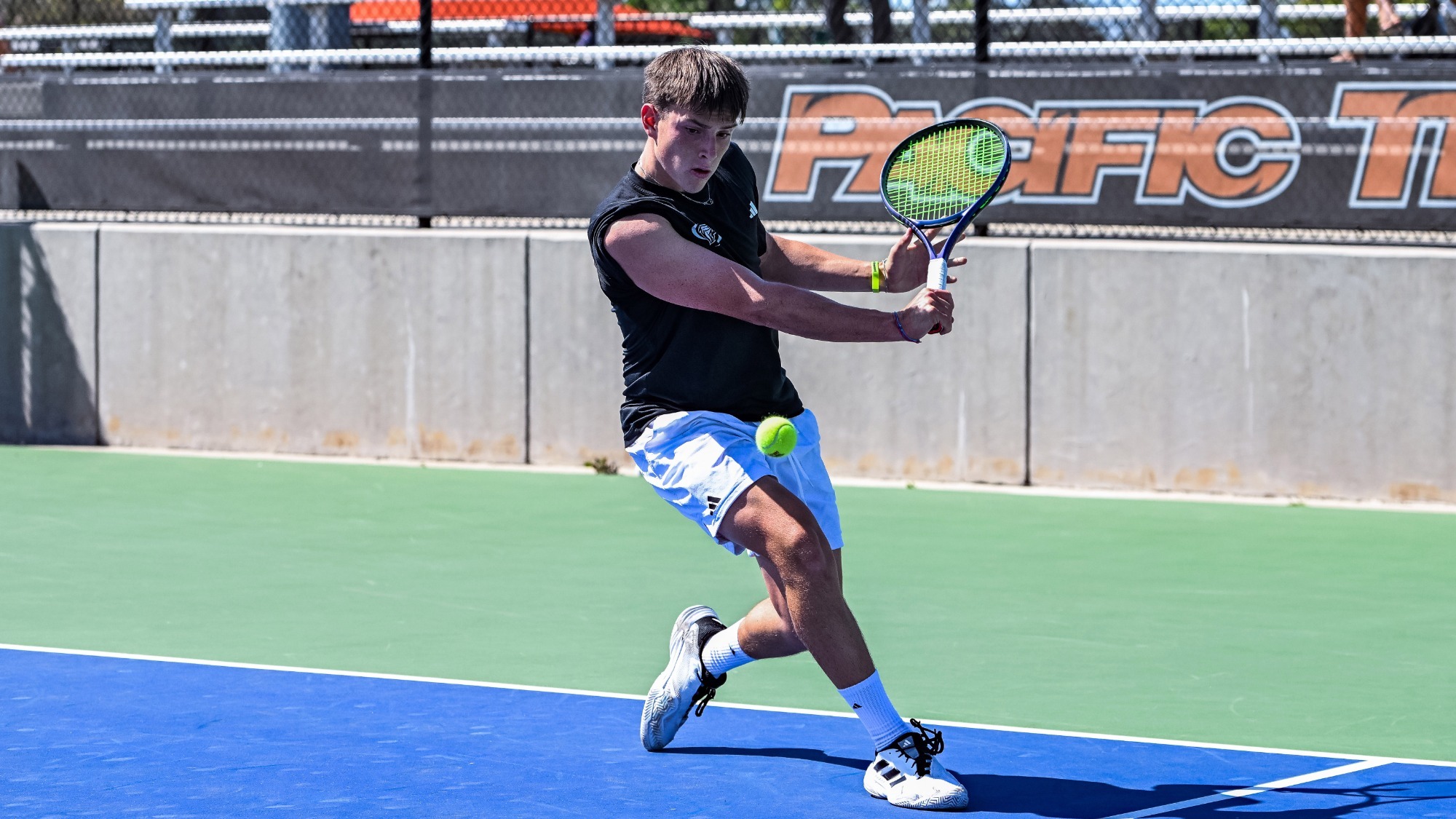 Christof Schaertlin Coffey