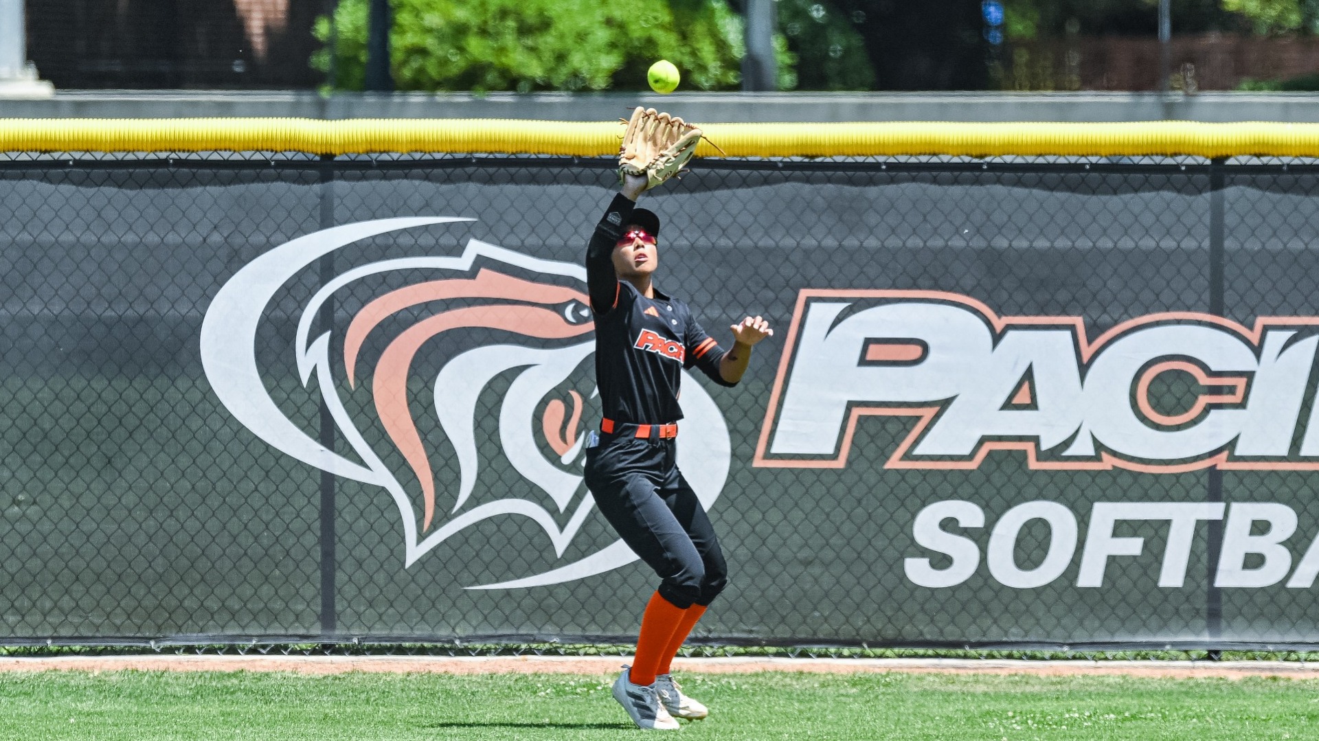 SB Preview at Hawaii 2026