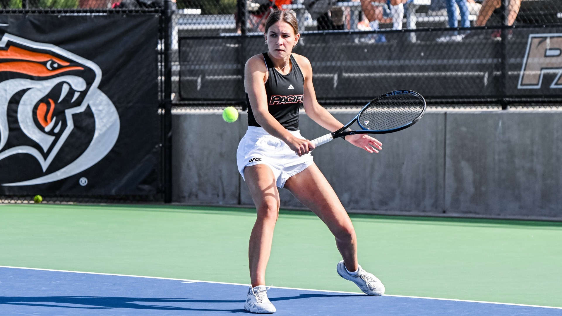 WTEN Preview vs. Saint Mary's 2026