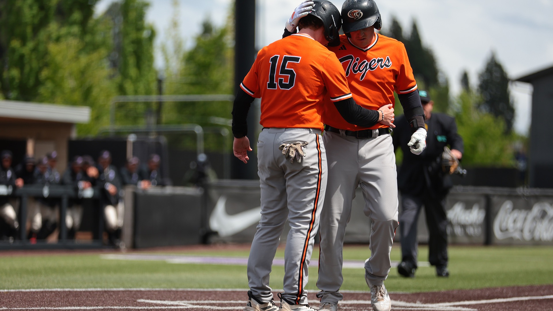 Tigers in Portland