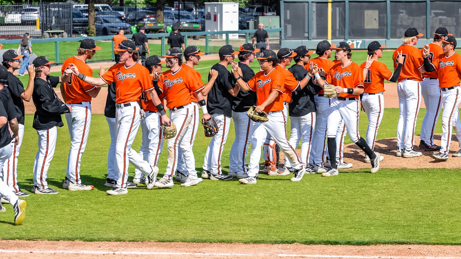 Baseball Team High Fives