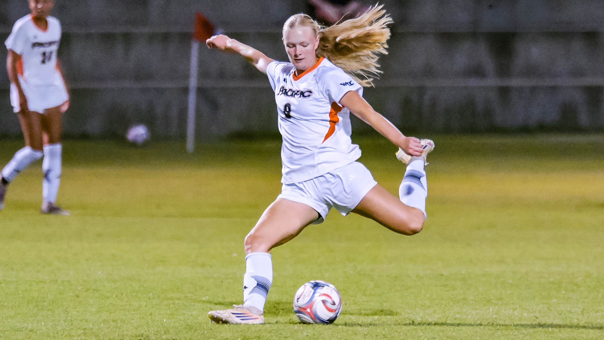Brynn Fitch