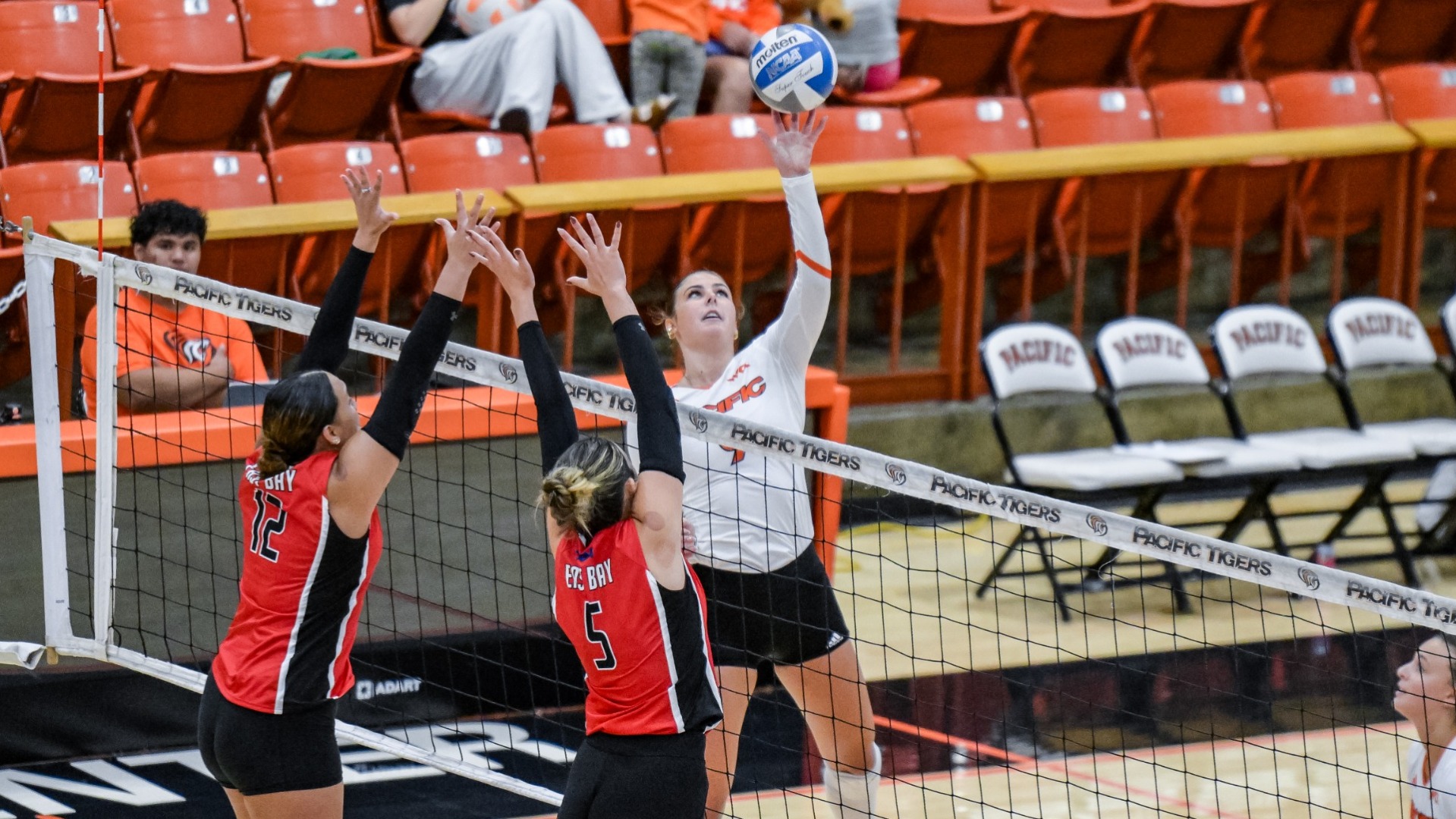 WVB Recap at Cal 2026