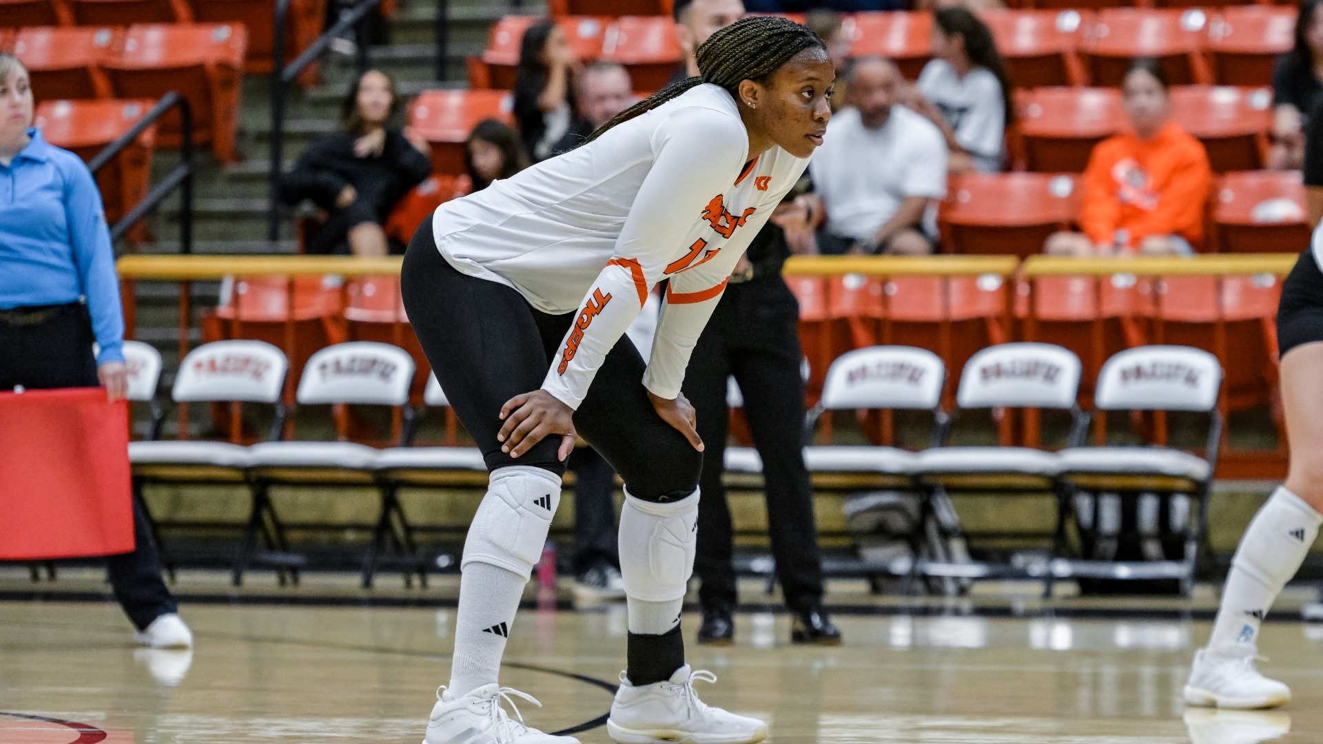 VB Preview vs. SJSU 2026