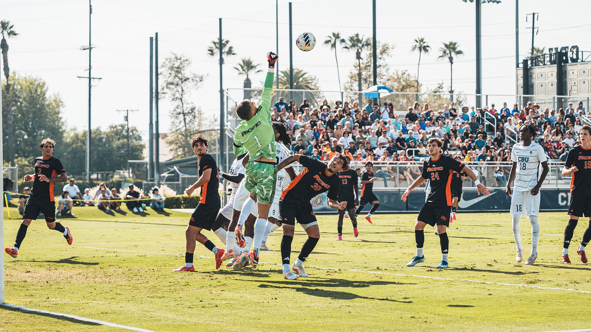 Tigers at CBU