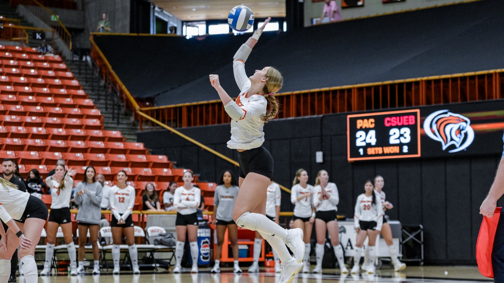 WVB Recap at SJSU 2026