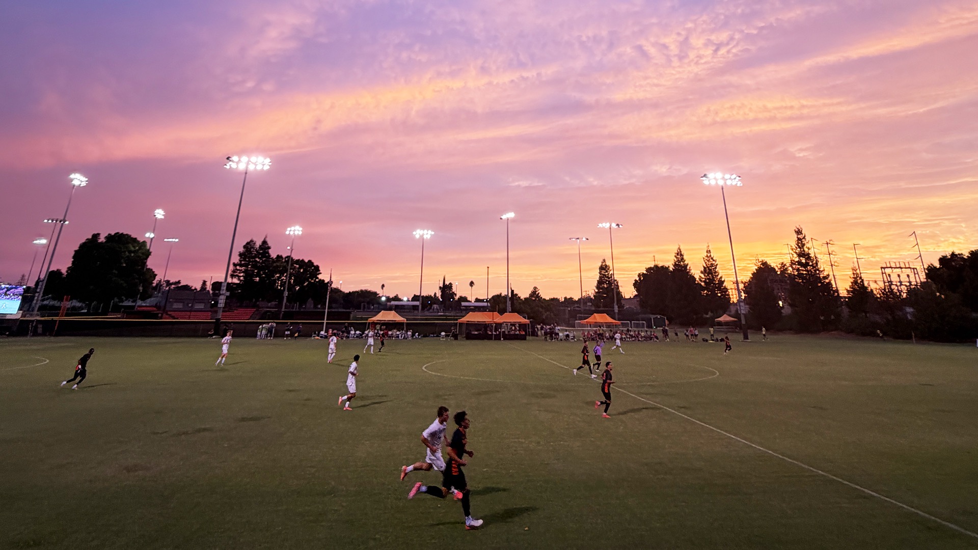 Knoles Field