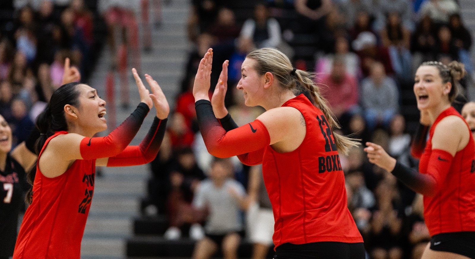 25 volleyball celebration