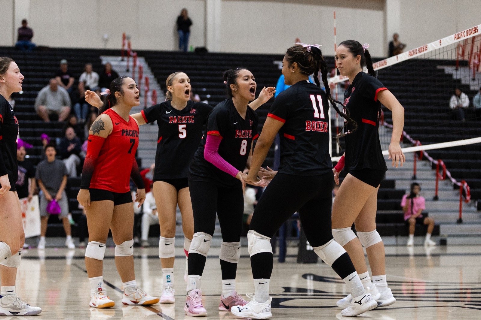volleyball celebration
