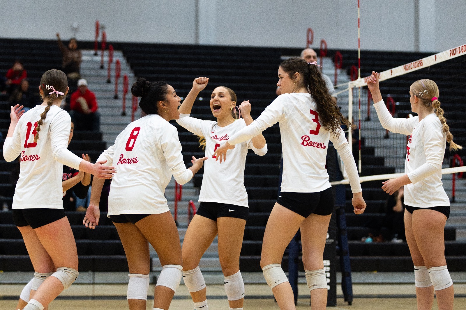 volleyball celebration